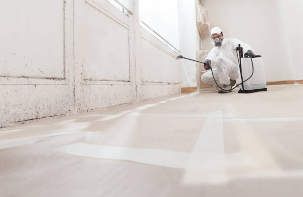 24/7 Emergency Mold Remediation experts in Cape Charles, VA